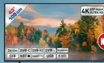 Metro Q-led tv 43q60c Angebot