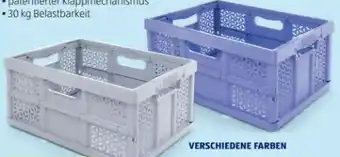 Hofer Profi klappbox Angebot