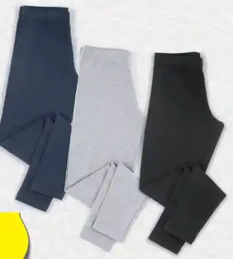 Hofer Damen-leggings Angebot