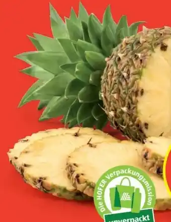 Hofer Ananas Angebot