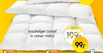 Reiter Daunendecke ,,Sandra" Angebot