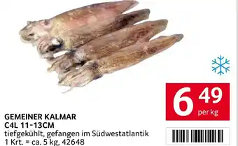 Transgourmet GEMEINER KALMAR C4L 11-13CM per kg Angebot