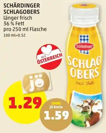 PENNY SCHÄRDINGER SCHLAGOBERS Angebot