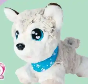 Maximarkt Happy husky Angebot