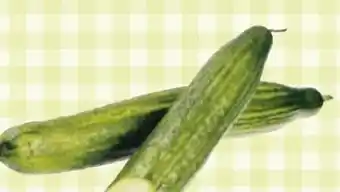 Maximarkt Gurken Angebot