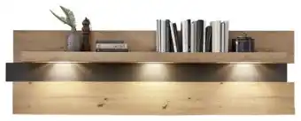 XXXLutz Wandpaneel Angebot