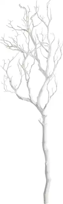 Mömax Dekozweig sam Angebot