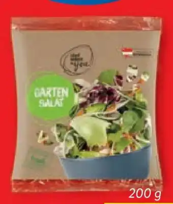 Lidl Garten salat Angebot