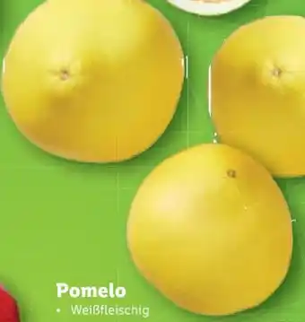 Lidl Pomelo Angebot