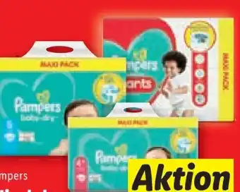 Lidl Baby-dry windeln Angebot
