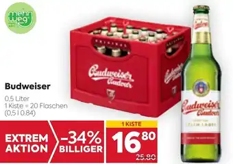 Billa Budweiser Angebot