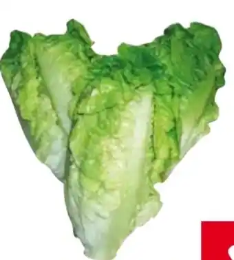 Transgourmet Salatherzen Angebot