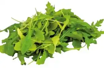 Transgourmet Bio rucola Angebot