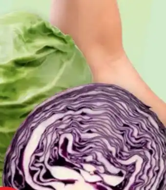 PENNY Rotkraut Angebot