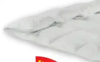 PENNY Steppdecke Angebot