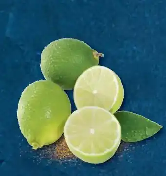 Metro Limetten Angebot
