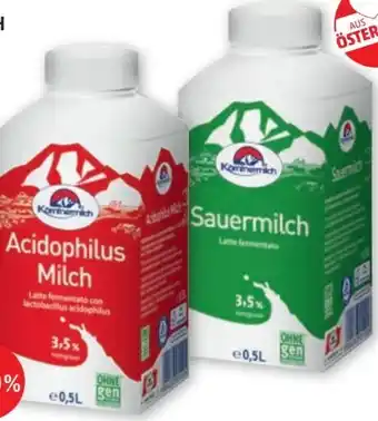 PENNY Acidophilus milch Angebot