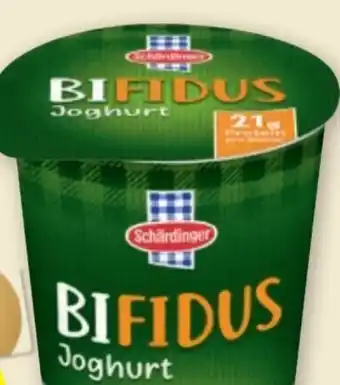 PENNY Bifidus joghurt Angebot
