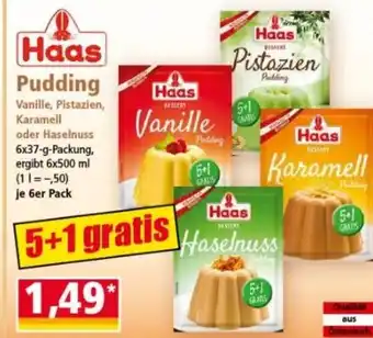 Norma Haas Pudding Angebot