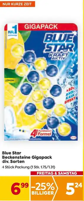 Billa Blue Star Beckensteine Gigapack div. Sorten 4 Stück Packung Angebot