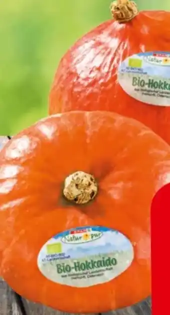 Eurospar Bio-hokkaido kürbis Angebot