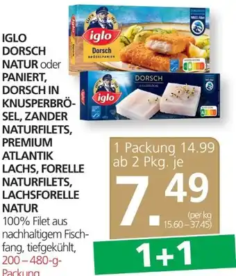 SPAR Gourmet Dorsch natur Angebot