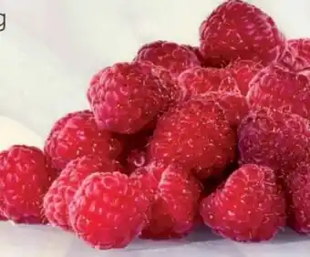 Hofer Himbeeren Angebot