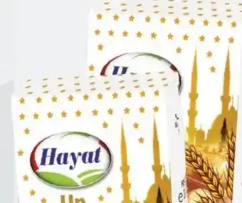 ETSAN Weizenmehl Angebot