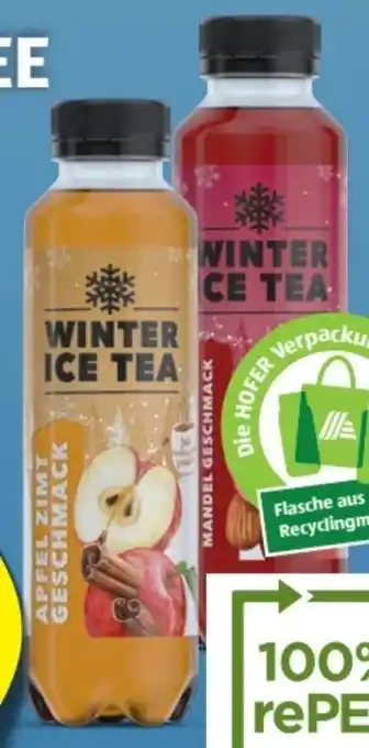 Hofer Winter eistee Angebot