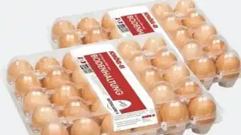 ETSAN Eier Angebot