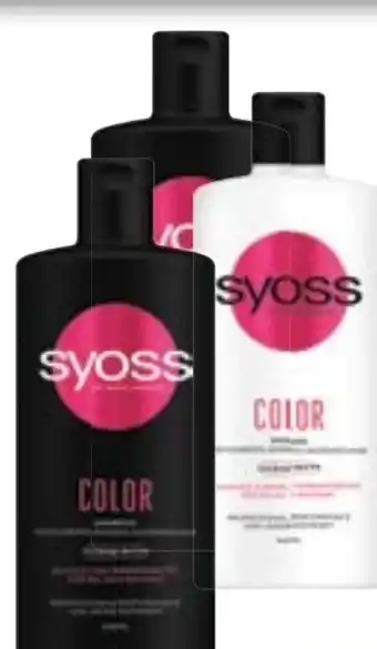 Maximarkt Shampoo Angebot