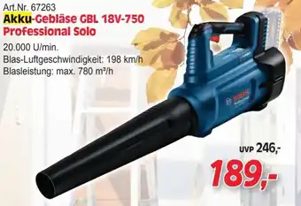 Zgonc Akku-Gebläse GBL 18V-750 Professional Solo Angebot