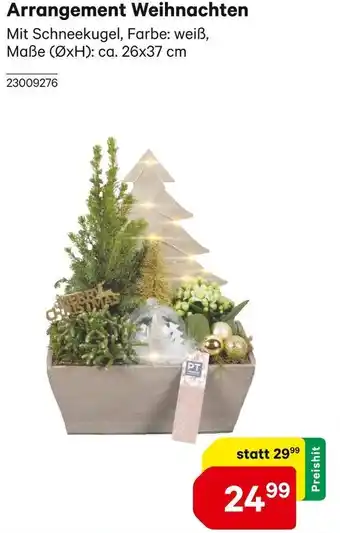 BayWa Arrangement Weihnachten Angebot