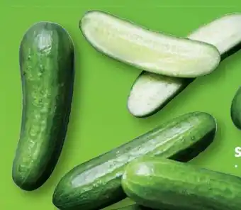 Lidl Snack gurken Angebot