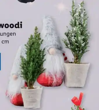 Lidl Wichtel Angebot