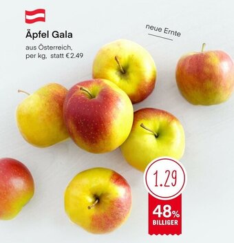 MPreis Äpfel Gala Angebot