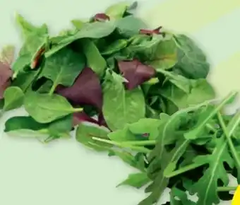 PENNY Rucola Angebot