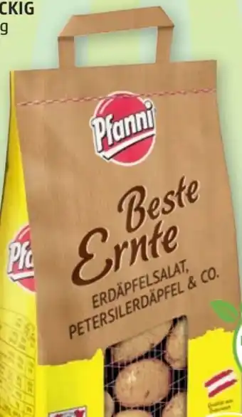 PENNY Erdäpfel Angebot