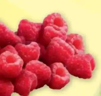 PENNY Himbeeren Angebot