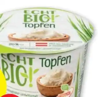 PENNY Topfen Angebot