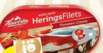 PENNY Heringsfilets Angebot