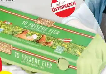 PENNY Eier Angebot