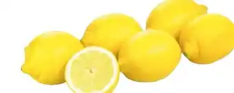 Transgourmet Bio zitronen Angebot