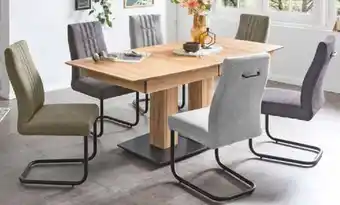 Möbel Ludwig SCHWINGSTUHL Angebot