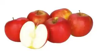 Transgourmet Äpfel Angebot