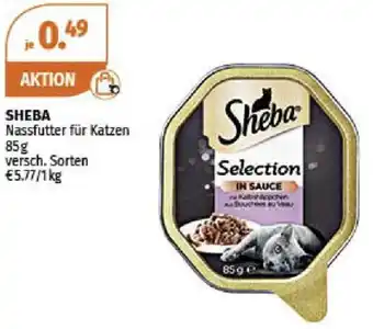 Müller SHEBA Nassfutter für Katzen 85g Angebot