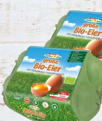 Spar Bio-eier Angebot