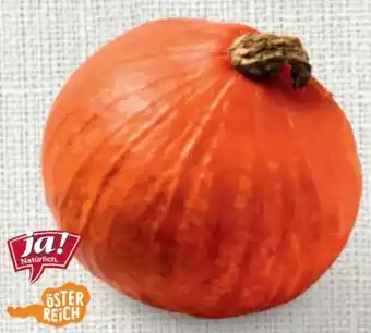 Billa Bio-speisekürbis hokkaido Angebot