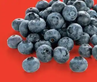 Hofer Heidelbeeren Angebot