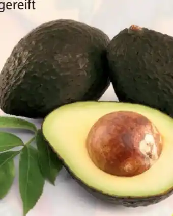 Hofer Iss reif! avocados Angebot